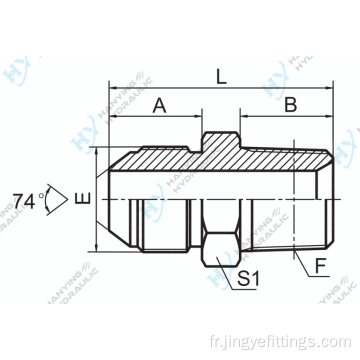 Mâle métrique 74 cône / npt mâle